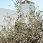 Alma Do Campo