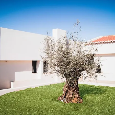 Alma Do Campo Bed & Breakfast *